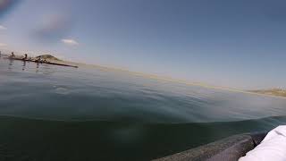 EMPIRE SPRINTS 2019 V WOMEN'S 4+ A FINAL EVERETT ROWING ASSOCIATION