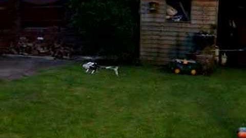 Align t-rex 450sa hover