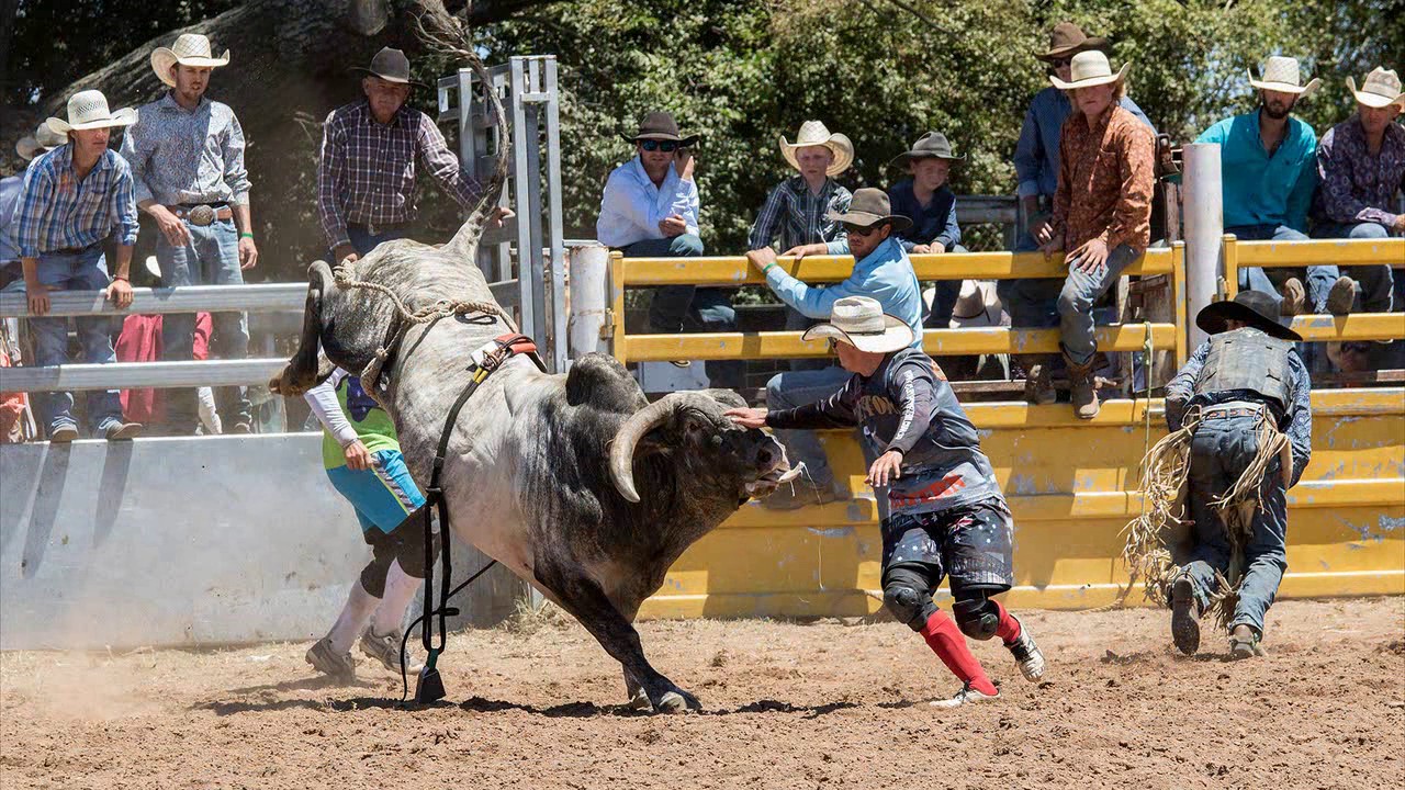 Taralga Rodeo 2017 - YouTube