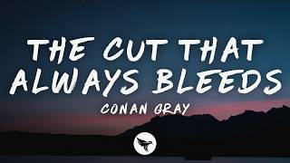 Conan Gray – The Cut That Always Bleeds (Lyrics)
