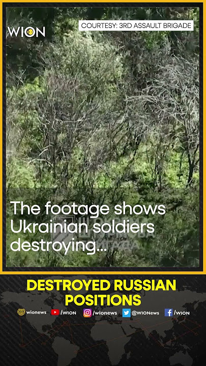Ukrainian soldiers destroy Russian positions in Bakhmut | WION Shorts