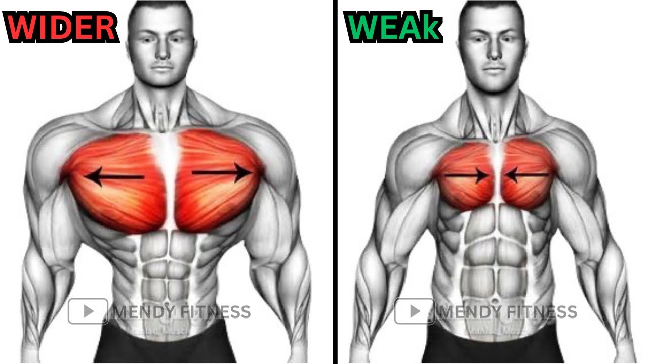 10 Best Chest Exercises (Dumbbell Only) - YouTube