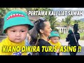 PERTAMA KALI LIAT SAWAH ... KIANO DIKIRA TURIS ASING !!