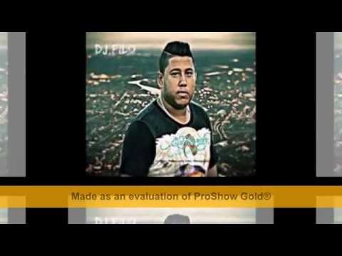 القمة ودنيا التراللي