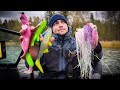 FLY vs RUBBER LURES (Pike Fishing) ft. Fishingwithace