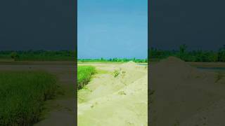 vlogs village lifenature village video beautiful view