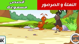 قصص عربية | قصص أطفال | قصة النملة و الصرصور