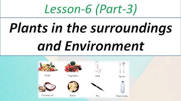 Class- 4 | Science |  Chapter-6 (Plants in the surroundings and Environment)  | Part-3