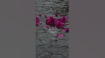 أفمن شرح الله صدره للإسلام | القارئ أحمد خضر #quran #اكسبلور #لايك #surah #راحة_نفسية #راحه_نفسيه