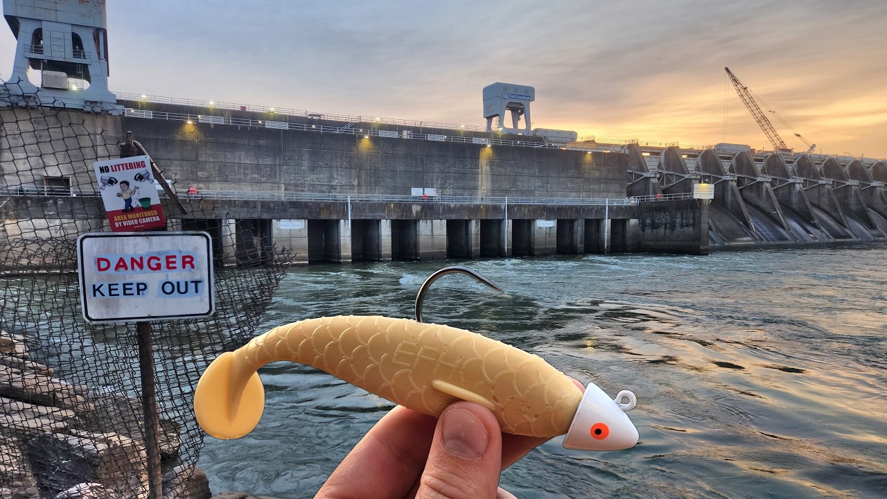 Ловля ГИГАНТОВ на опасной плотине!!