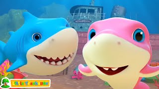 baby shark doo doo doo fun water adventure song for kids