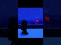Grueling Zombie Apocalypse | ZOMBIEMANIA #minecraft