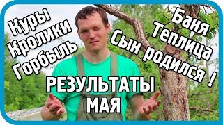 НАЕЗДЫ ДАЧНИКОВ, НАЛЁТЫ КОМАРОВ И НОВАЯ ЖИЗНЬ. Результаты мая 2018