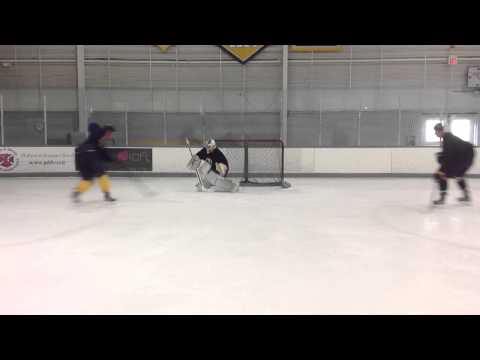 The Goalie Doctor