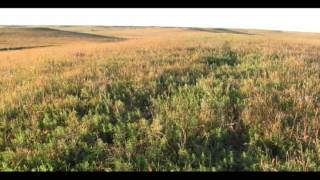 Flint Hills 360