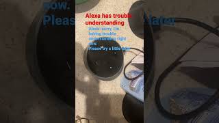 Celebrity Alexa has trouble understanding Profile
