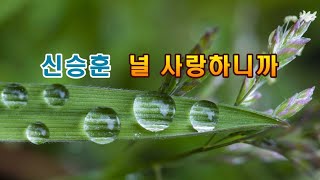 신승훈 (Shin Seung-Hun) - 널 사랑하니까 (Because I Love You) 1시간듣기 [가사]