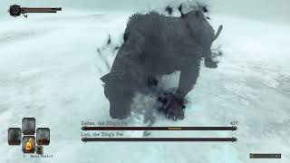 DS2 SL1 No Roll - Lud & Zallen