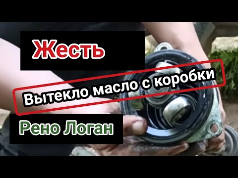 ЖЕСТЬ! Вытекло масло с коробки! Рено Логан!Замена пыльника Рено Логан