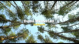 Dumi Mkokstad - Usibiyele