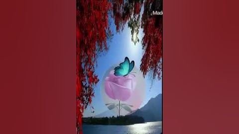 مقطع قصير من سورة الأحزاب