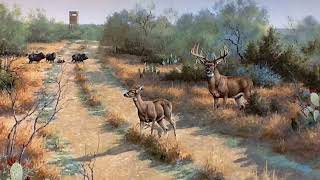 La Mesa Whitetail