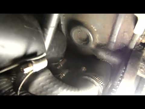 Пежо 406 1.9тд "золотой мотор" скоро львенок заурчит))