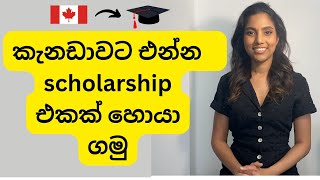 කැනඩාවෙ ඉගන ගන්න එන්න international studentsලට scholarships| කොහොමද scholarships හොයා ගන්නේ?