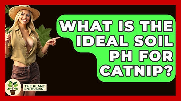 What Is The Ideal Soil PH For Catnip? - The Plant Enthusiast