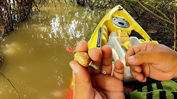 Câu Cá Sông  ✅ Trở Lại Sông Sau Những Cơn Mưa Lớn, Chui Vào Lùm Câu Được Ổ Chốt Bò