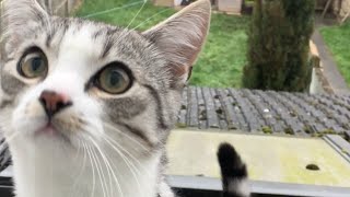 外出制限が延長されたロンドンで、普段はなかなかできない「タイダイ」を体験してみた【ロンドン通信】 外出制限が延長されたロンドンで、普段はなかなかできない「タイダイ」を体験してみた【ロンドン通信】
