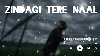 Zindagi 🥹Tere Naal ( Slowed+Reverb)lofi song 2026😞