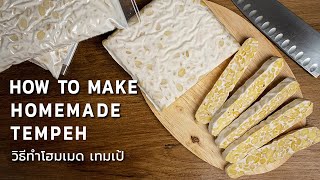 วิธีทำเทมเป้ ง่าย ๆ ทำเก็บไว้ หรือ ทำขายสร้างรายได้ดี | How to make Perfect Tempeh ☁️ Vegan Startup