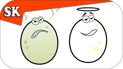 HOW TO TELL IF AN EGG IS FRESH - Steve