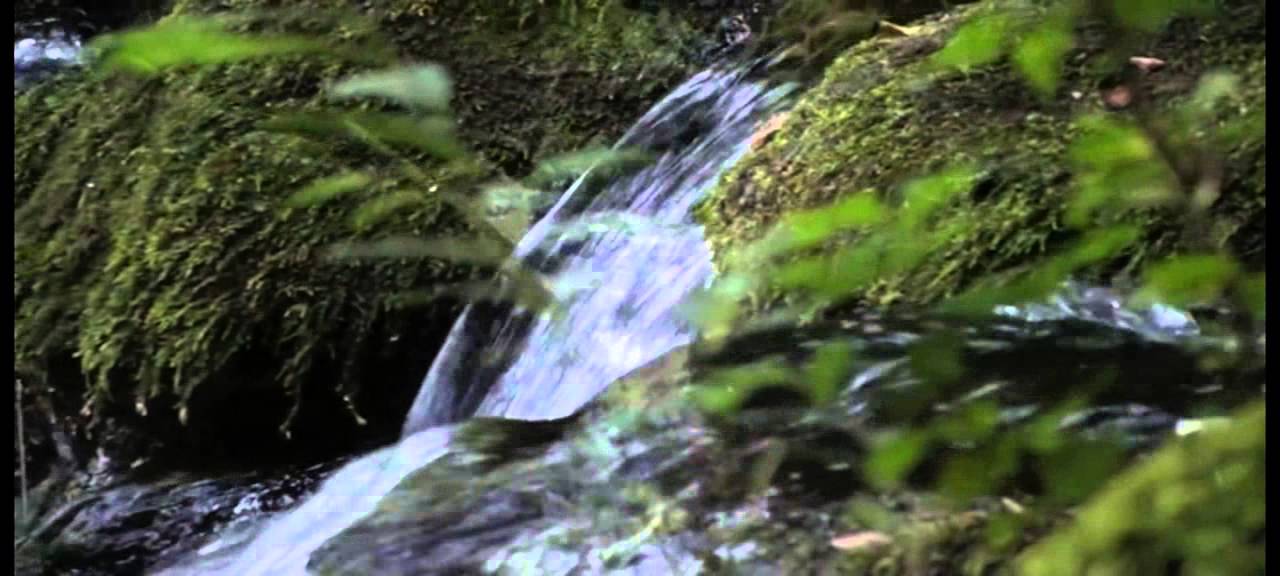 Vittorio Veneto - Sorgenti del Meschio