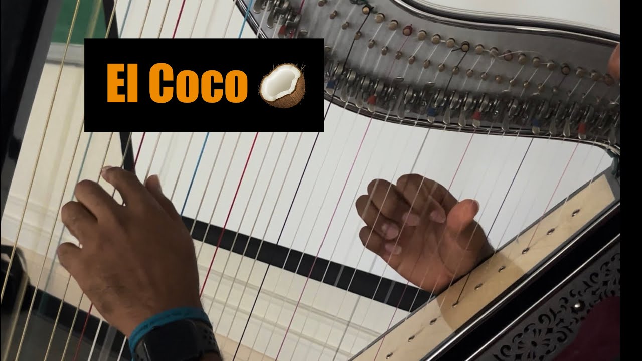 El Coco Harp | Salvador Peña 2024 Guadalupe Mariachi Summer Workshop