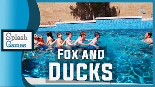 Pool Game: Fox and Ducks screenshot 3