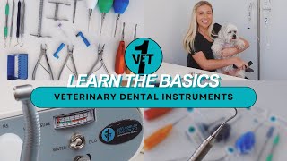 FREE VET NURSE WEBINAR: Veterinary Dental Instruments 🩺🐾 ..... Vet1 screenshot 4