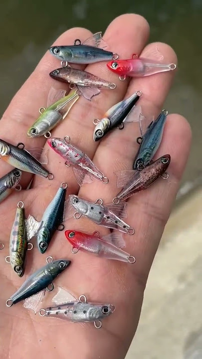 micro lure fishing #shorts15