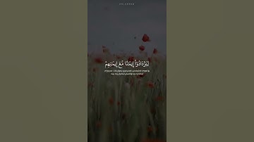 تلاوة القارئ عبد الرحمن مسعد.. / سورة الفتح آية ٤ /    ﴿هُوَ الَّذي أَنزَلَ السَّكينَةَ في قُلوبِ ﴾
