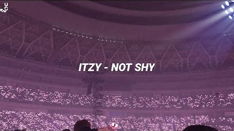NOT SHY - BUT YOURE IN A CONCERT | ITZY - NOT SHY | EMPTY ARENA