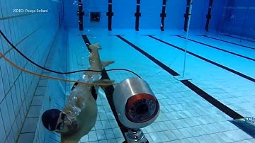 LABIOMEP :: Biophysical Evaluation and Training Optimization