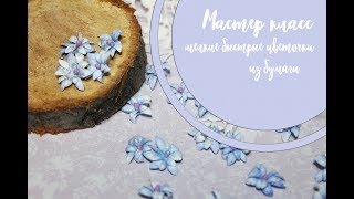 Мастер класс / бумажные мелкие цветочки/ скрапбукинг