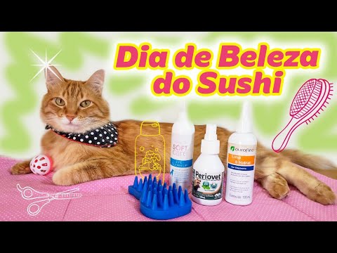 Vídeo: Higiene De Animais De Estimação: Lavando Seu Gato