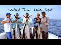 شاهد كيف صدنا سمكة التونة العنيدة How We Got A Monster Yellowfin Tuna 