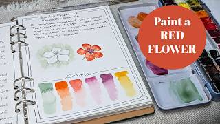 The Weekly Watercolor | How to Paint a Red Scarlet Pimpernel Flower in Watercolor