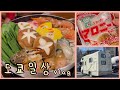 일본일상 브이로그 ⛄️ 나베 집밥 먹방 | 캠핑카 체험 | 마트 장보기 | 로미랑 조나상, 산책 데이트