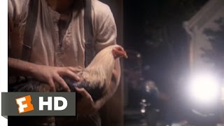 The Day of the Locust (7/9) Movie CLIP - Cockfight (1975) HD