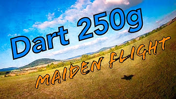 Dart 250g [Maiden flight]