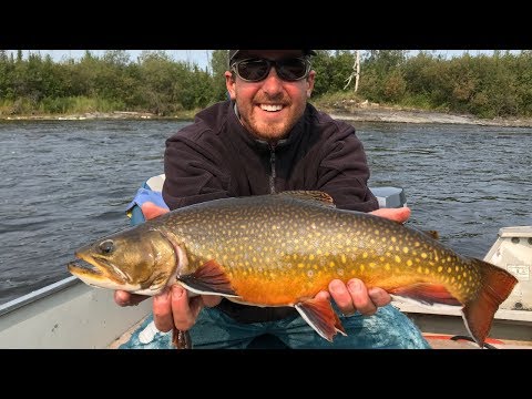 Trout Fishing Manitoba 